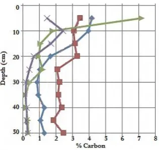Figure 3. Relationship between percentage carbon with depth from each core. 