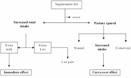 Figure 2.8: Immediate and carry-over effects of feeding supplements. Modified from 