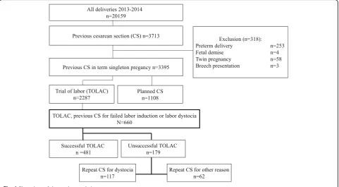 Fig. 1 Flow chart of the study population