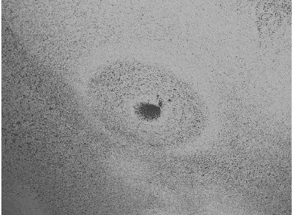 FIG. 6: Raw image from a main camera during an experiment for heaving sphere showing particles are absent directly over the sphere location