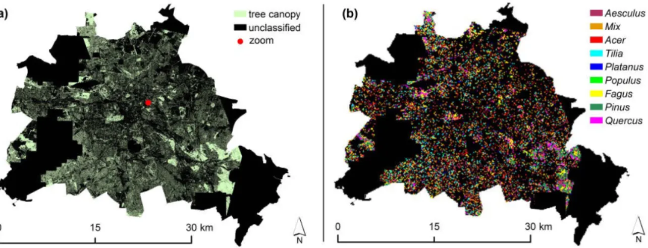 Figure III - 1: a Tree canopy inside the administrative boundaries of Berlin. &#34;Unclassified&#34; refers to areas where either  RapidEye or LiDAR data were not available for classification