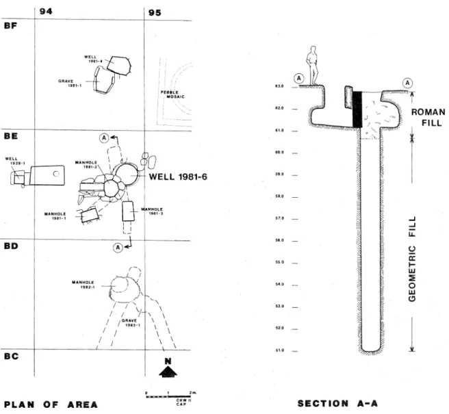 FIG.  1. Well  1981-6,  plan  and section 