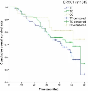 Figure 1. Kaplan-Meier analysis on the influence of ERCC1 rs11615 polymor-phism on overall survival of osteosarcoma.