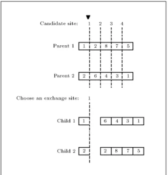 Figure 4. Modifying parent chromosomes via crossover has insured generating correct children.