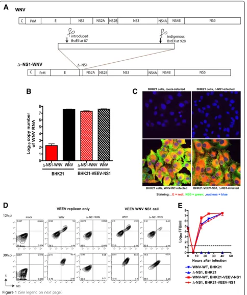 Figure 1 (See legend on next page.)