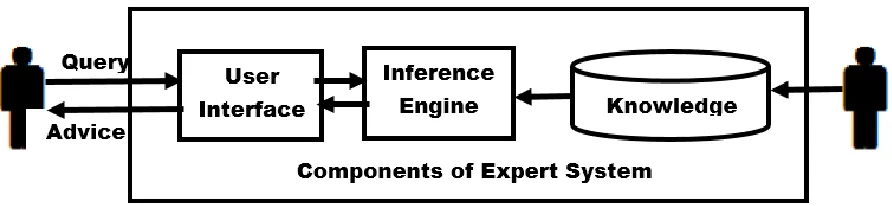 Fig. 1.4. A diagram depicting how expert system works  