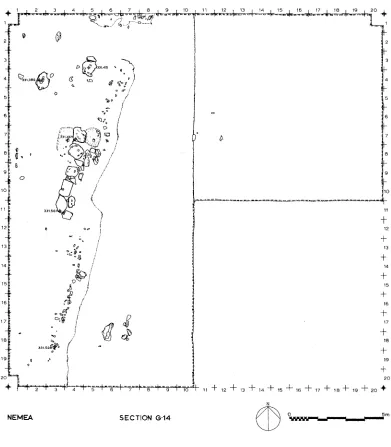 FIG. 3. Section G 14 