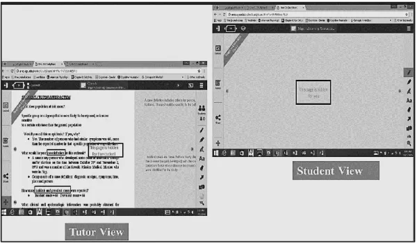 Figure 4: Screen capture of student-tutor interactions and tutor personal notes on the tutor’s I-Pad