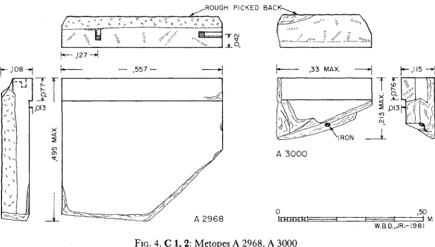 FIG. 4. C 1, 2: Metopes A 2968, A 3000 
