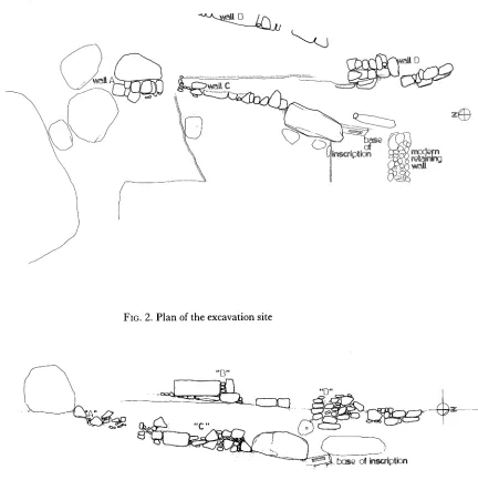 FIG. 2. Plan of the excavation site 