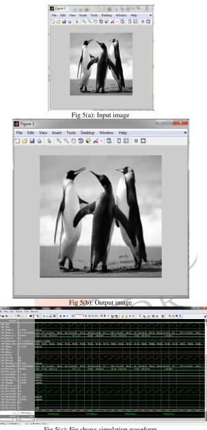 Fig 5(a): Input image 