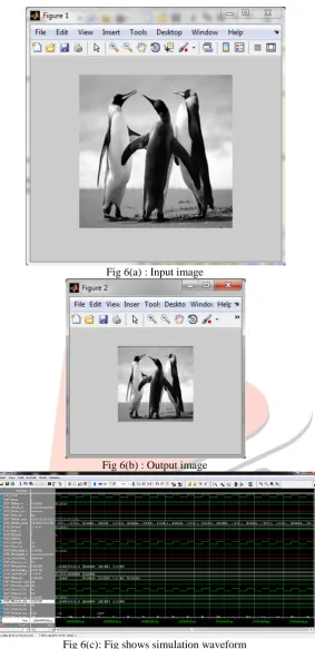 Fig 6(a) : Input image 