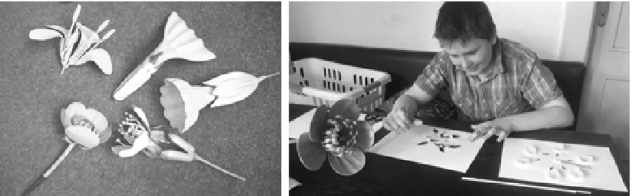 Figure 7: Models of flowers discarded in 2014 and a using of models by a 5 th  grader 