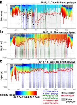 Figure 6. Time-series combining dive information and salinity properties sampled by three individuals in green) and core 3 (10 m.y2013 with the longest time-series available inside polynyas (Cape Poinsett (a), Mackenzie (b) and West Ice Shelf (c) polynyas)