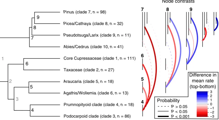 Table 2 Phylogenetic signal within Clade 7 (Pinus)