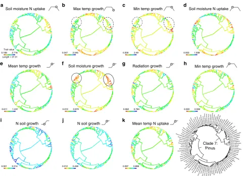 Fig. 6 Niche dimensionality indiagrams beside the trait names, show how the trait relates to the modelled growth or resource acquisition function