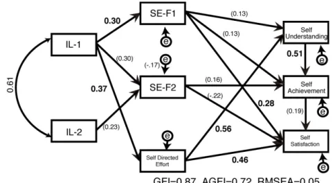 Figure 3: Contribution of information literacy to self efficacy and self assessment. 