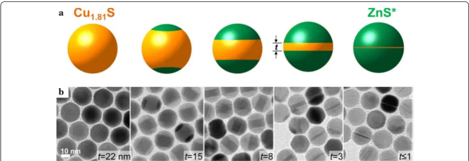 Fig. 7 permission from American Chemical Society [sequential cation exchange from  Cua Scanning transmission electron microscopy‑energy dispersive X‑ray spectroscopy image and b transmission electron microscopy image of CdS–ZnS–Cu1.8S–ZnS nanorod obtained from 1.8S nanorod (Reprinted with 90])