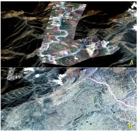 Fig. 3. (a) The UAV remote sensing image after the mosaic. (b) TheIKONOS image.