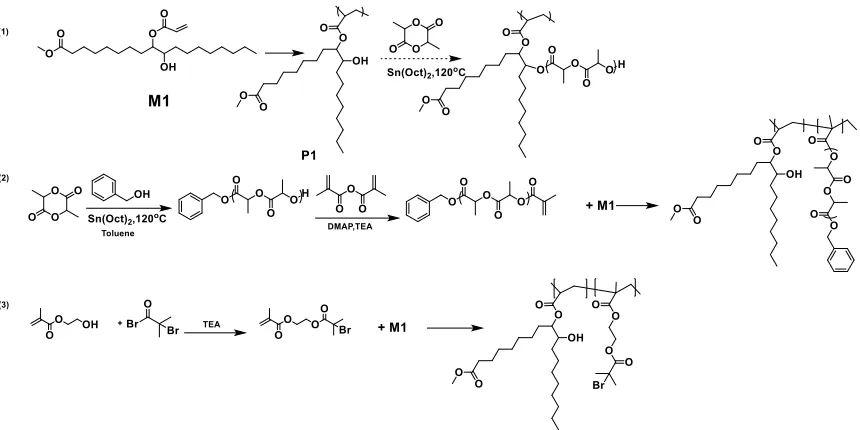 Figure 2.3 Attempts to make TPEs with (1) graft polylactic acid (PLA), (2) random copolymer with PLA, (3) Macro initiator for ATRP