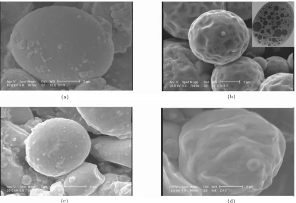 Figure 3. SEM micrographs of superparamagnetic polyurethane microspheres for (a) A 1 (PCL (M W = 530 g/mol)), (b) B 2 (PCL (M W = 530 g/mol) and starch), (c) C 3 (PCL (M W = 2000 g/mol)) and (d) D 4 (PCL (M W = 2000 g/mol) and starch)