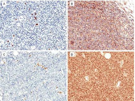 Figure 3. Results of the immunohistochemical study (All figures original magnification x200)