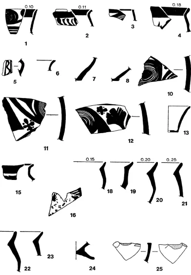 FIG. 3 Lustrous-painted ware (Scale 1: 2.5) 
