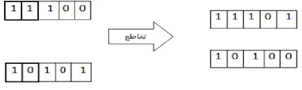figure 2 shows that the amount of first variables equals 2 and other variables are equal to 0