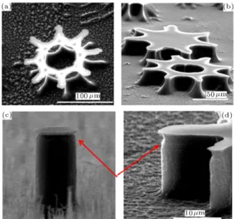 Figure 5. (a) Severe under-etch results in a crown-like structure. The gear-like chromium mask is remained on top of the structure