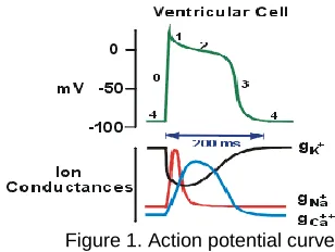 Figure 1. Action potential curve  