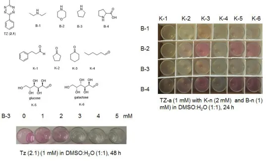 Figure 2.4. Combinatorial screening of amine-catalyzed iDA reaction of tetrazine with aldehydes and ketones