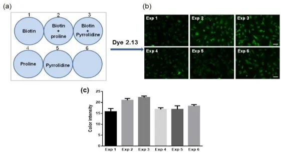 Figure 2.7. Application of fluorogenic tetrazine 2.13 in imaging aldehyde-containing molecules in cells.(a) Cells incubated with biotin aldehyde (50 µM) and/or an amine (100 µM); (b) Fluorescent confocal micrograph of cells after addition of dye, 2.13 (10 