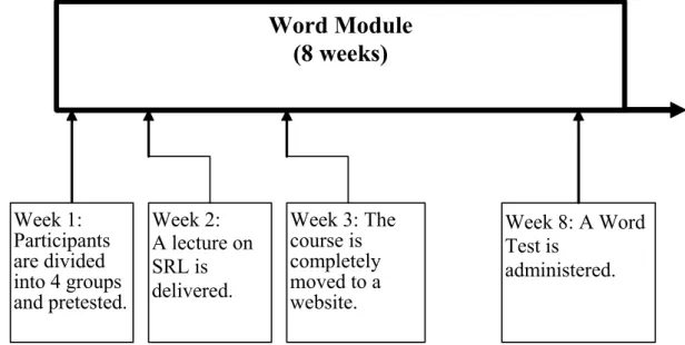 Figure 2: The teaching schedule of word module and associated tests 