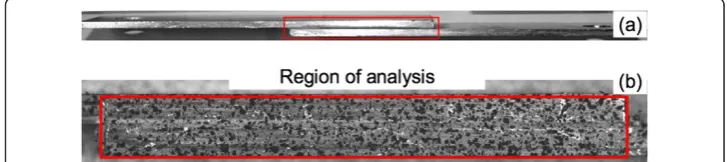 Figure 2 Experimental setup.