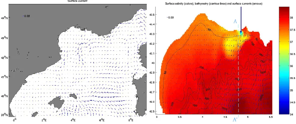 Fig. 4. Salinity along the A′–A line in Fig. 3b. The salinity in theGoL is inﬂuenced by the Rhˆone