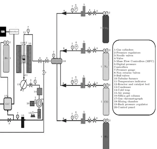 Figure 1. Schematic representation of the experimental set-up.