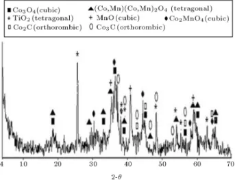 Figure 6. The SEM images of calcinated RIPI catalyst.