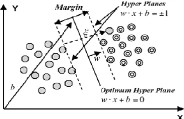 Figure 3. Display support vector machine 