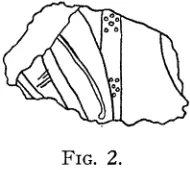 FIG. 2. 