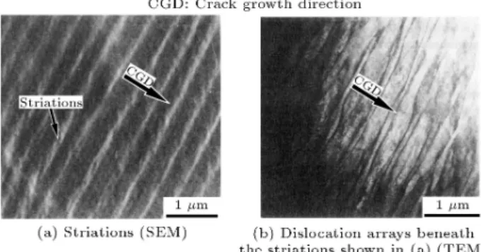 Figure 7. Striations and dislocation arrays in 1018 steel ([11] with permission of Elsevier).