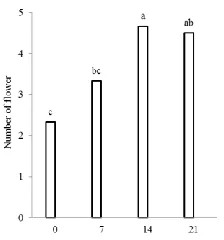 Figure 1. Effect of salicylic acid treatments on number of rose (cv. ‘Angelina’) flower  *Values followed by the same small or capital letter are not significantly different within rows or columns at Duncan test P≤0.05 