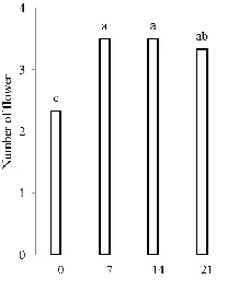 Figure 8. Effect of jasmonic acid treatments on fresh weight of rose (cv. ‘Angelina’)  *Values followed by the same small or capital letter are not significantly different within rows or columns at Duncan test P≤0.05 