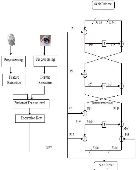 Fig. 7: Block diagram of Biometric based Blowfish Algorithm. 