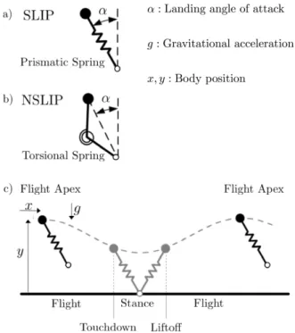 Figure 1: We focus on two spring-mass models: a) the spring- spring-loaded inverted (SLIP) model with a linear prismatic spring, and b) a segmented leg model, with a linear torsional spring, which we will refer to as a nonlinear spring-mass (NSLIP) model