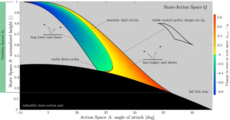 Figure 3: The lookup table of the SLIP model’s transition map shows possible combinations of state (height at apex) and action (landing angle of attack), and their transition to either a second apex or a failure