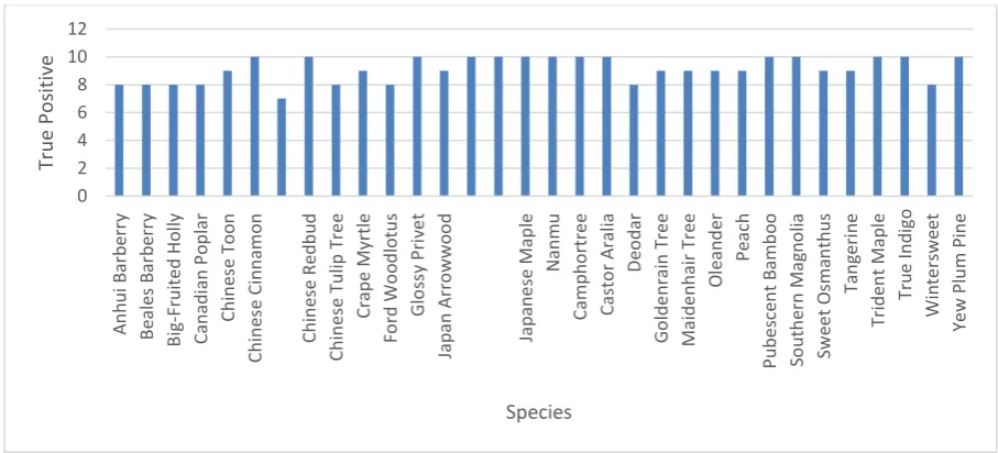 Figure 5: Result of LBP+SVM for plant detection. 