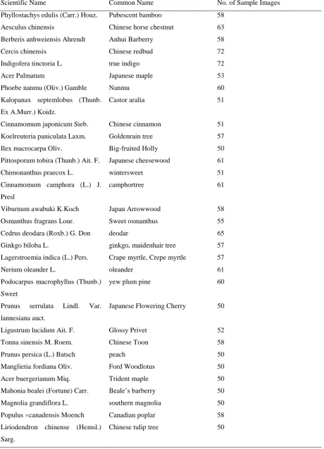 Table 1: Details Description of Flavia Leaf Dataset 