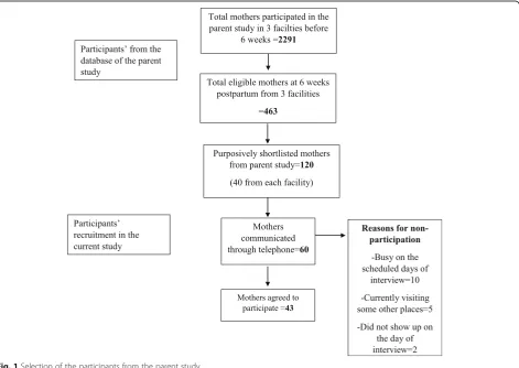 Fig. 1 Selection of the participants from the parent study