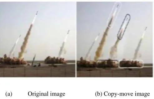 Figure 1: Copy-move Forgery 