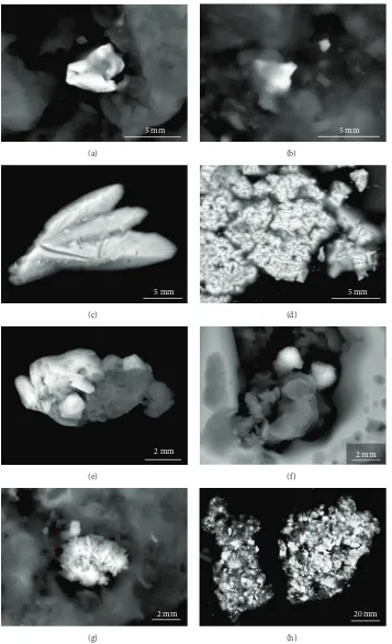 Figure 7: Rare phases from fumarolic incrustations of Ebeko volcano. (a) Small aggregate of palladian gold attached to sulfur surface